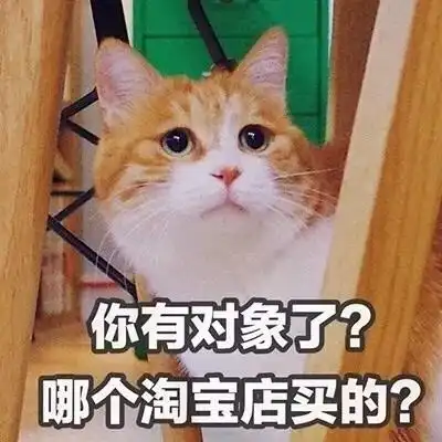 初恋最难忘最新清纯森系女生qq头像