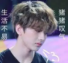 蔡徐坤蜡像上班7天后的现况惨不忍睹,像极了连续工作7天的我