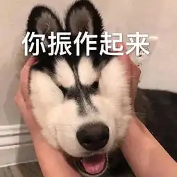 多图实拍全新视角远眺东洲岛,东洲湘江大桥即将通车