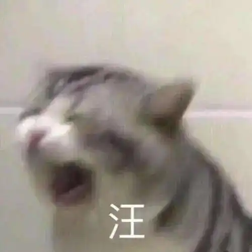 听说你们南方人都骑大蟑螂上学,真的吗