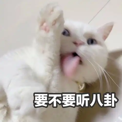 你再说一句