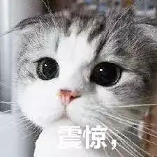史无前例澳洲pr即将迎来大动荡,澳洲人全炸了