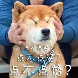 网红必备︱西安气质表情上线旅游达人收动图喽