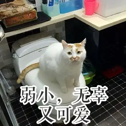 2017最火表情包出炉笑着笑着就扎心了赶快右键来收图