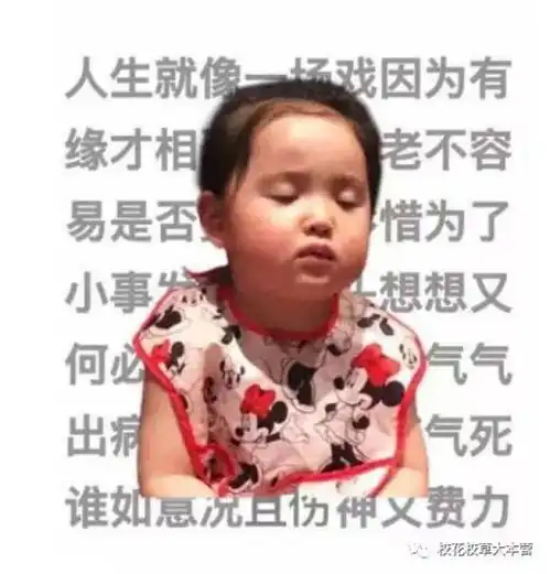 2017的八大表情包萌娃,你最喜欢哪一个