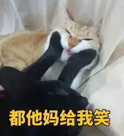 面试因为我的工资要求太低,面试被拒