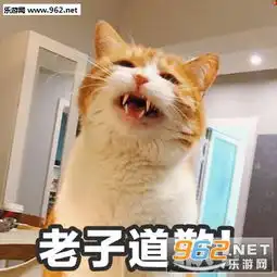 老婆我错了主动罚站表情包萌猫道歉带字表情包下载乐游网游戏下载