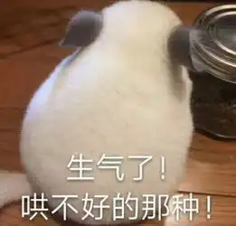 分享一个加班神器给你