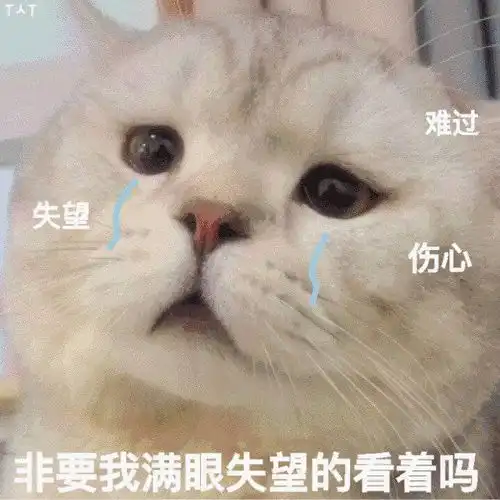 甜甜的萌宠表情包你比小狗勾还有狗勾