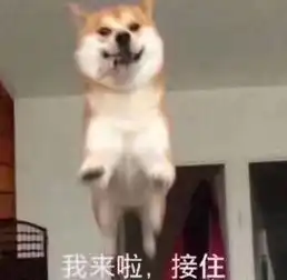 午间版iphonex刘海有点眼熟,原来竟是他同款