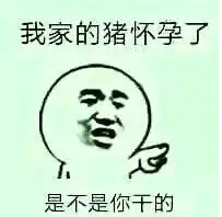 2016年竟然有种新闻笑死人不偿命,竟然都是真事