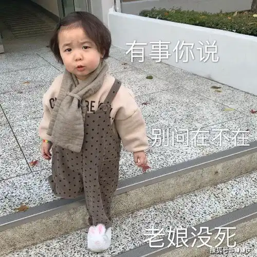 热门表情包图片我现在道歉,还来得及吗