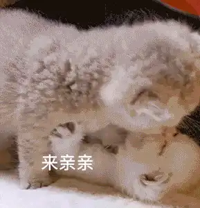 可爱沙雕表情包老妹儿,你可真坏