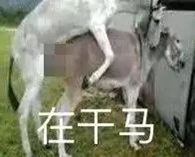 冲鸭是什么梗