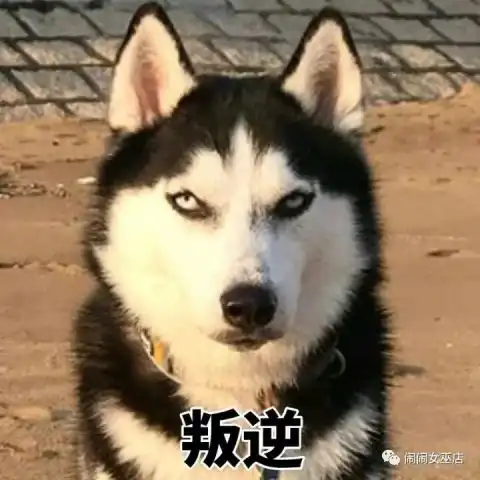 水瓶座与普通人的不同