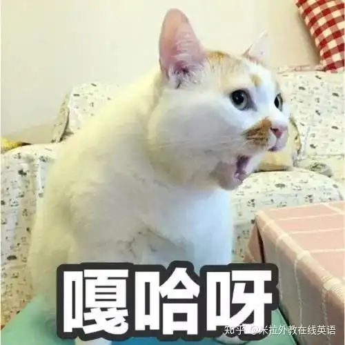 人民币的英文缩写,居然不是rmb那是什么