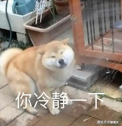 热门表情包图片你很牛等我找个表情包怼你