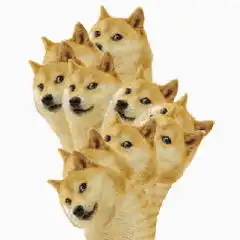 你为什么单身说说你至今单身的理由