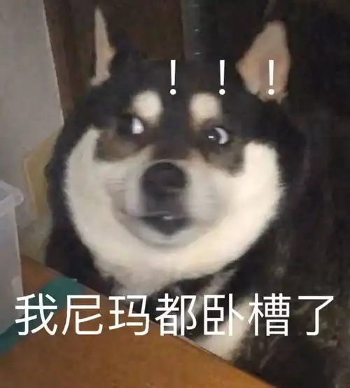 今日爆笑分享和直男聊天是什么感受