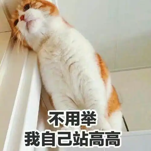 吃收藏夹