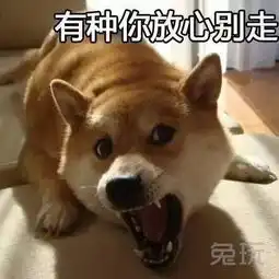 lol成全民游戏直播平台惊现59岁阿姨主播