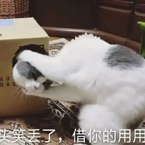 表情包我是为国卖萌的,你是做什么的呀
