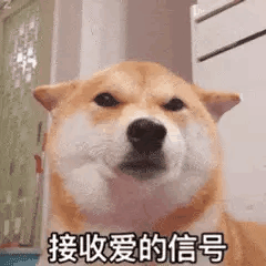 热门抖音表情包快点来亲我一下
