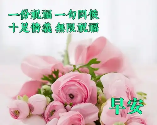 大家早上好早安祝福图片表情,适合群发朋友圈