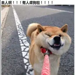 四年级女儿竟然都有老公了妈妈瞄了一眼手机,整个人都懵了单身狗表示,还没恋过蓝瘦香菇搜狐文化搜狐网