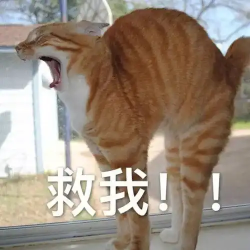 月减xx斤,3周马甲线,10天快速减脂......健身圈最坑套路大盘点