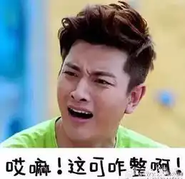 嫁不了男神,找一个贾乃亮这样的逗比也不错呀