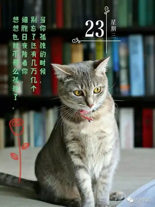 近期忻州境内高速新增6处测速点,最低限速70kmh