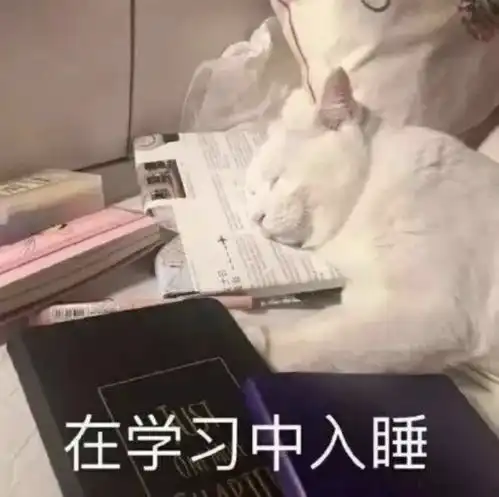你上不了岸的原因找到了原来卷王学习这么狠啊