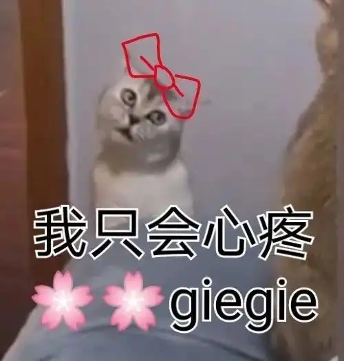沙雕表情包我只会心疼giegie