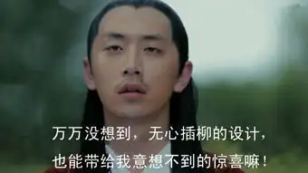 这个人是谁啊,经常被做成表情包