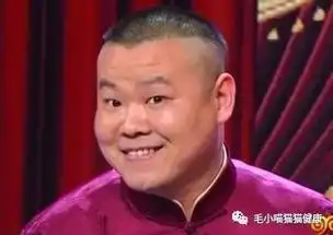 表情超凶猫咪走红网络,网友大笑小岳岳是你吗