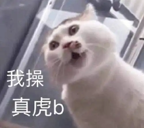 搞笑表情包姐妹同心,其利断金