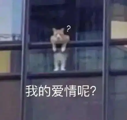 单身狗必备表情包美女只能孤芳自赏
