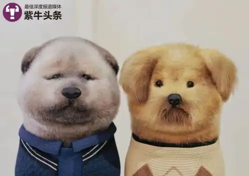 莫言余华微信头像火了,创作同款表情包的00后女孩是位治愈系插画师