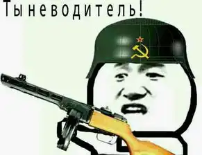 要像下图那样的图片,只要是纳粹的