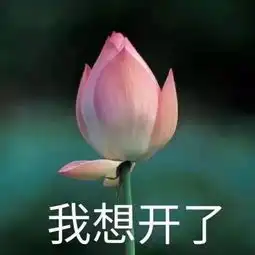 90后人均负债12.79万原来钱都花在了这些地方