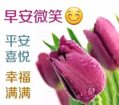 特别漂亮早上好问候语祝福表情图片早上好短信祝福语录
