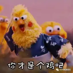 据说这鸡要红遍天际了可了不得了