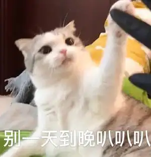 所谓的严选车真的严选吗卖家小瑕疵,客户看我像冤大头吗