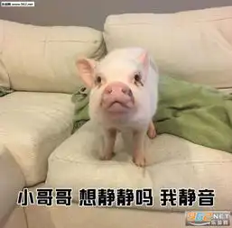 小哥哥网恋吗我铁观音一系列表情包小哥哥欠抽吗我千手观音表情包下载乐游网游戏下载