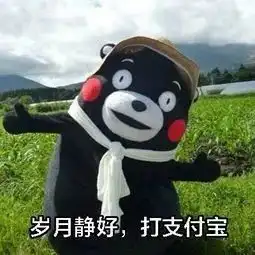 留学生福利月薪3万会用支付宝已成美帝求职新技能