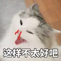 流鼻血猫咪表情包微信头像图片大全