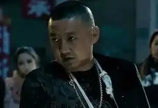 建议警察叔叔彻查一下王砚辉