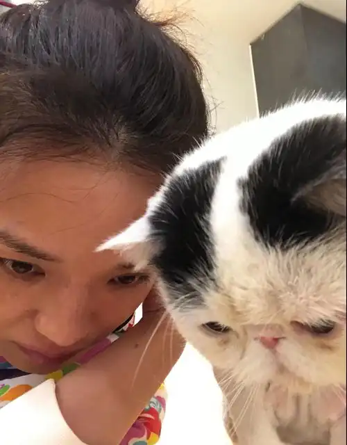 舒淇晒自拍模仿小猫表情素颜出镜皮肤状态真实