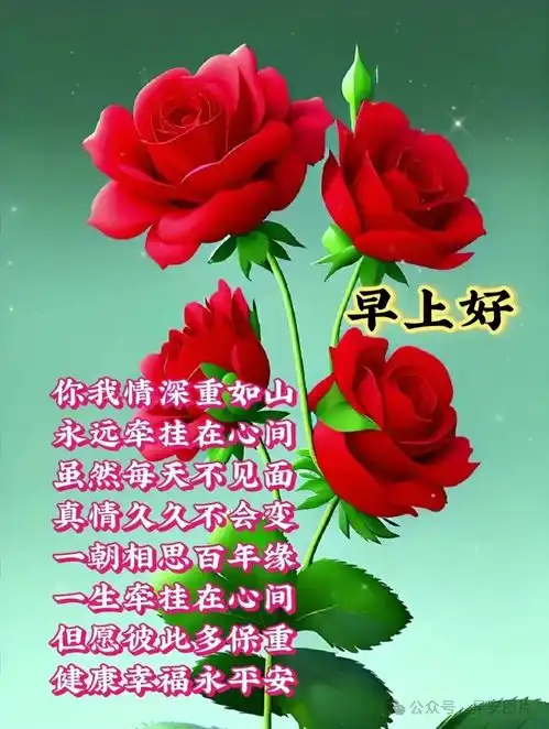 6月25日最新漂亮的早上好图片祝福